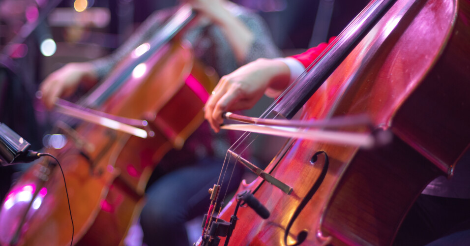 fundacao-franz-schubert-promove-concerto-de-natal