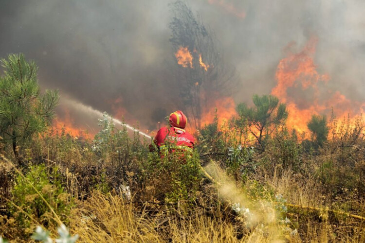 incendio-na-agrela-durante-a-tarde-envolveu-meio-aereo