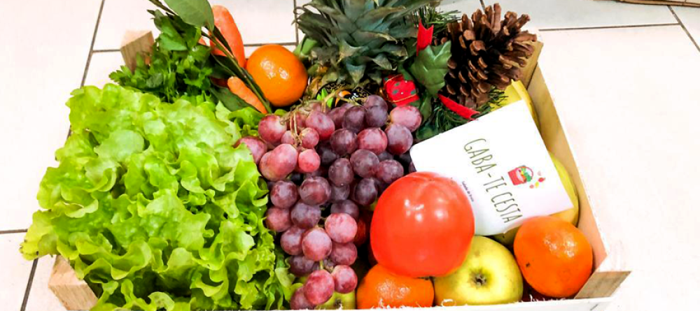 gaba-te-cesta-frutas-e-legumes-que-lhe-batem-a-porta
