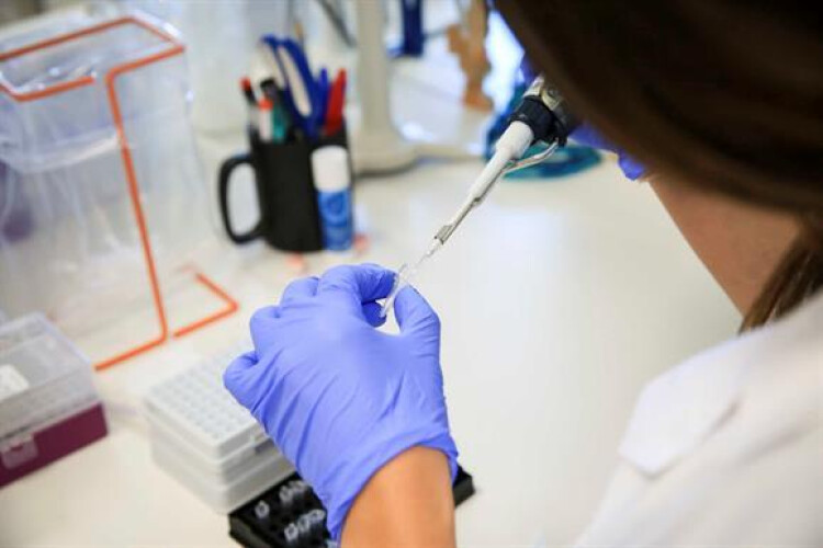 vacina-contra-o-cancro-cura-97-por-cento-das-cobaias-doentes