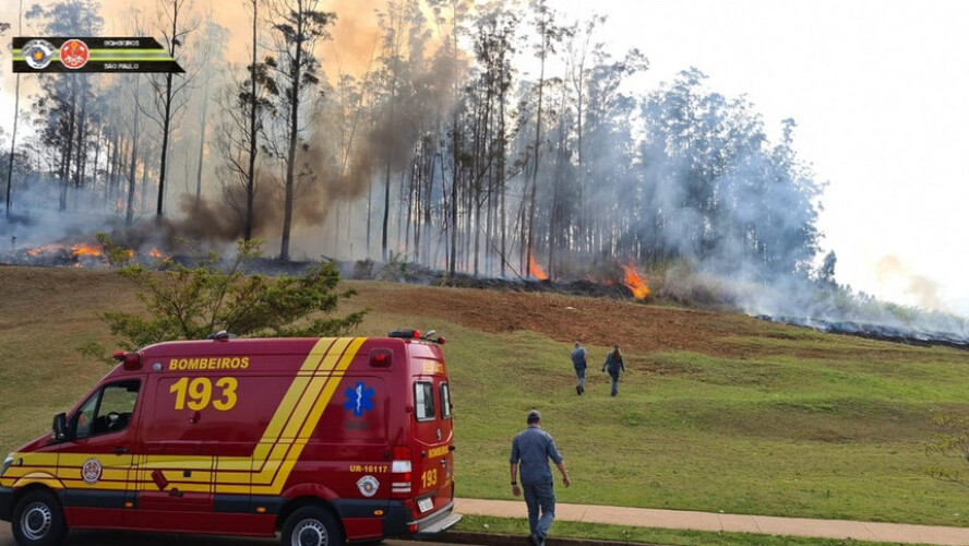 sete-mortos-em-queda-de-aviao-em-sao-paulo-no-brasil