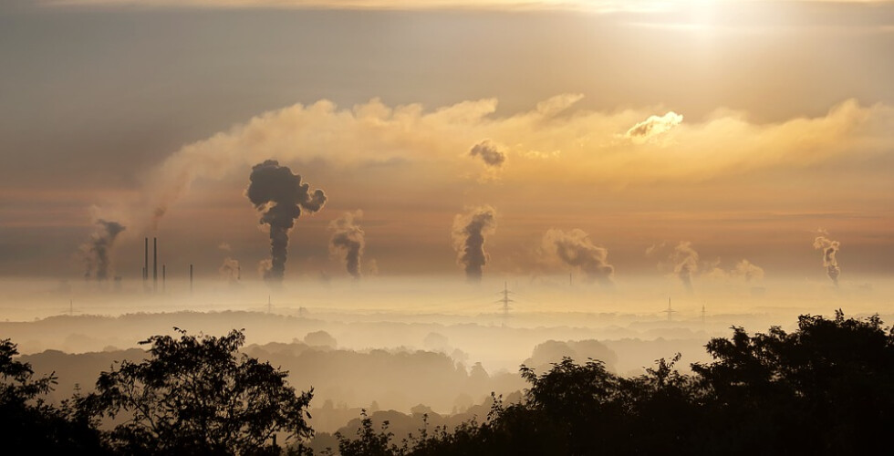 11-mil-cientistas-juntam-se-para-avisar-o-planeta