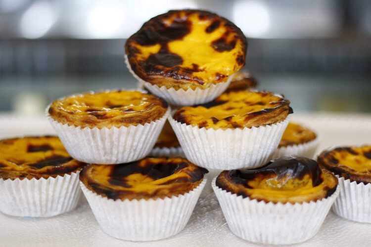 ha-natas-gratis-em-santo-tirso
