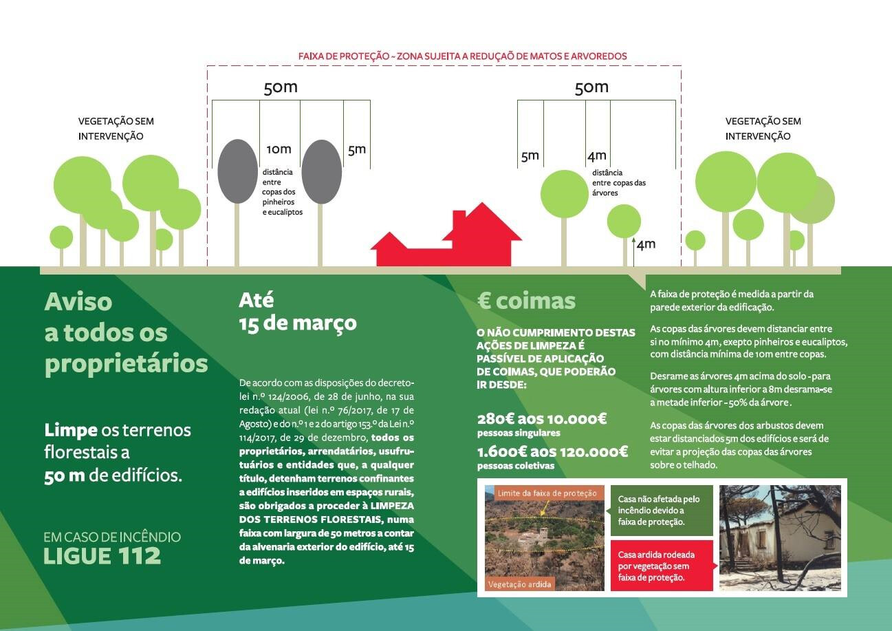 limpeza de árvores - santo tirso2