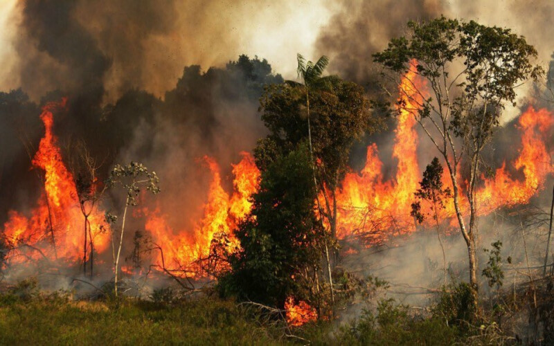 amazonia-esta-a-arder-a-um-ritmo-assustador