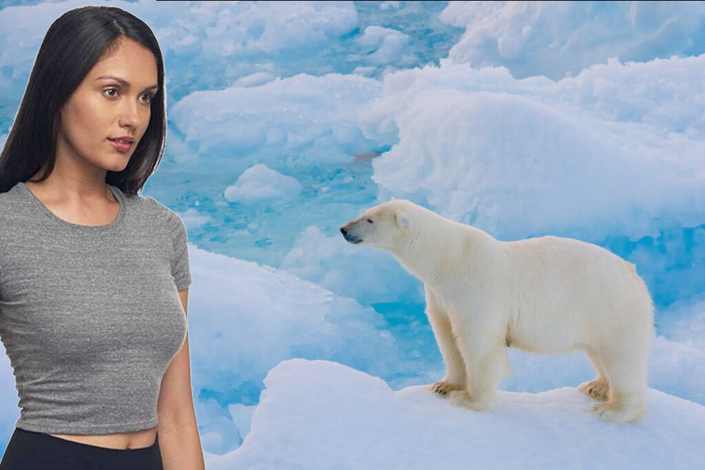 5 - Tornar-se amigo de um urso polar