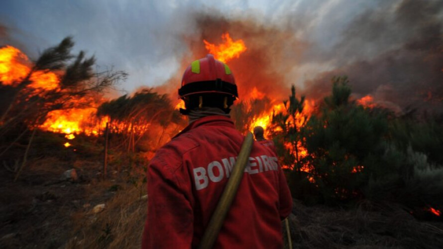 cerca-de-100-incendiarios-detidos-este-ano