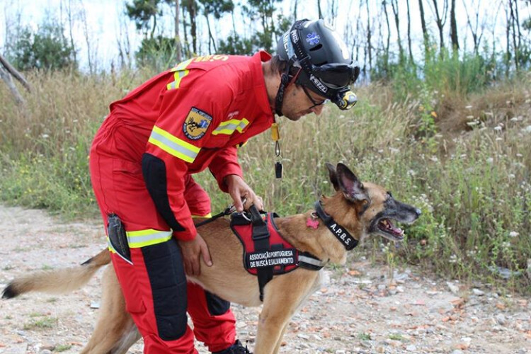 novos-dados-ajudam-nas-buscas-a-homem-de-63-anos