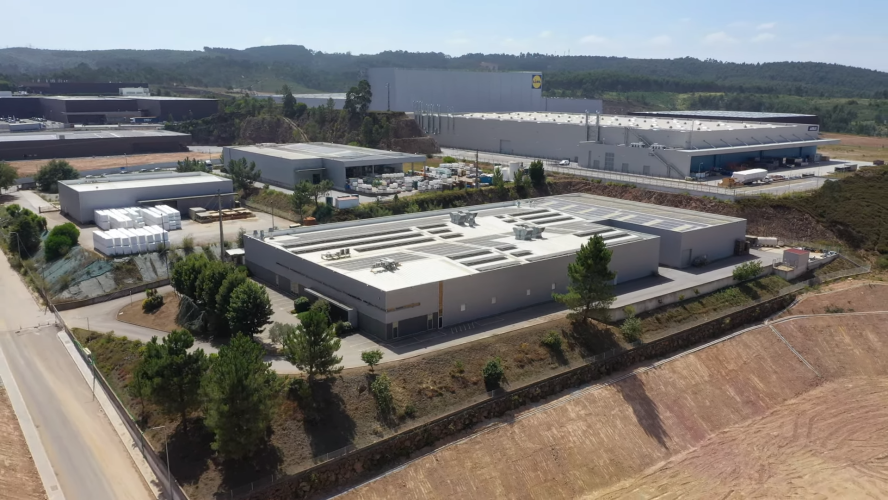 fabrica-de-meias-nuri-avaliada-em-45-milhoes-de-euros-vai-a-leilao