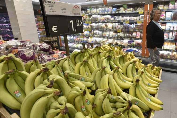 trabalhadores-dos-supermercados-em-greve-na-vespera-de-natal