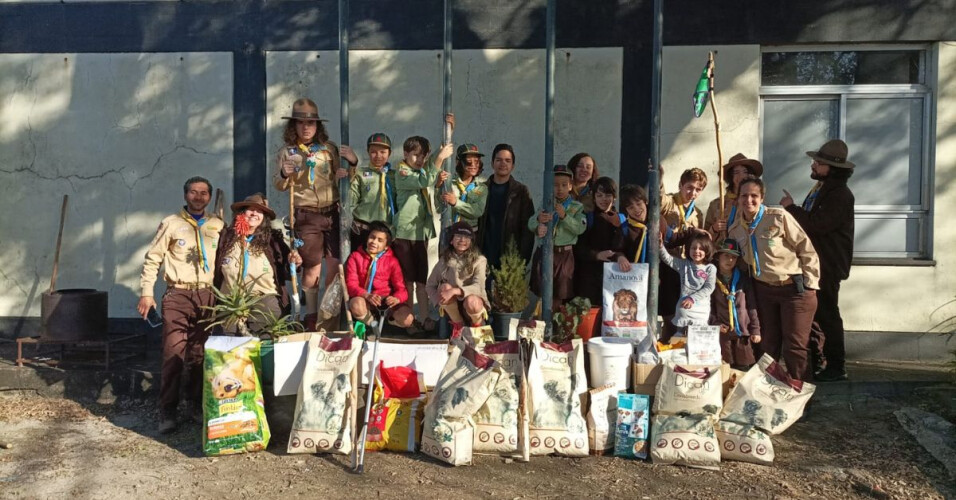 escoteiros-de-santo-tirso-fazem-campanha-contra-abandono-de-animais
