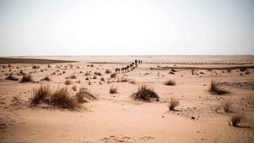 poeiras-do-deserto-do-saara-atingem-terca-feira-a-peninsula-iberica