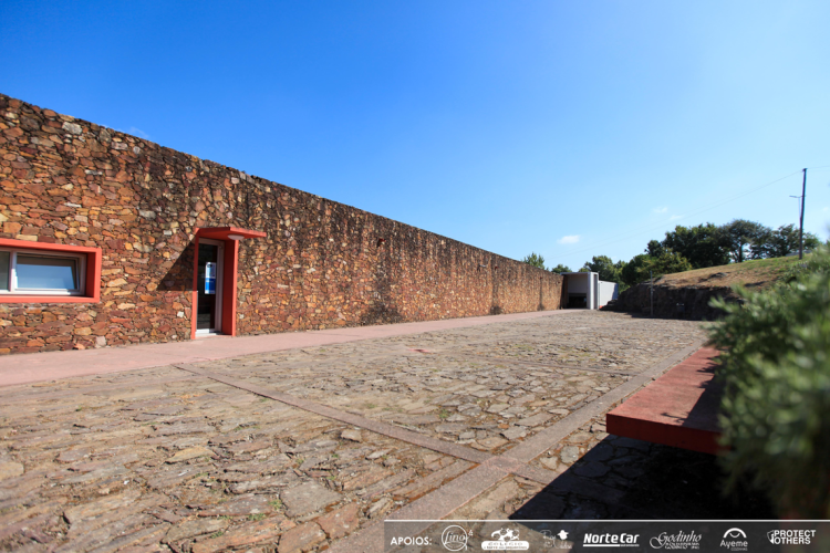 workshop-de-primeiros-socorros-em-santo-tirso