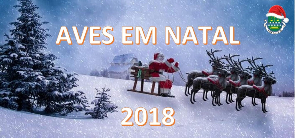 aves-em-natal