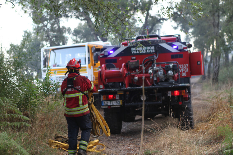 idosa-detida-apos-provocar-incendio-florestal-em-vila-das-aves