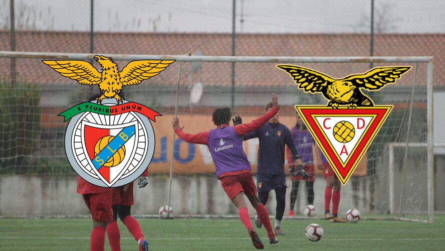 aves-joga-contra-o-benfica-na-fase-de-campeao