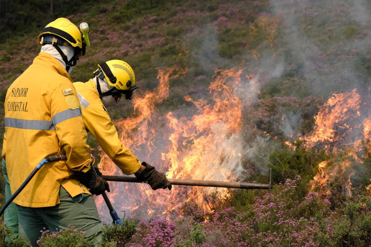 fogo-controlado-para-defesa-da-floresta-contra-incendios