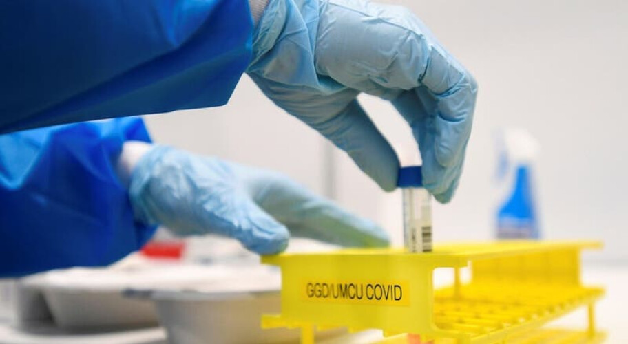 covid-19-portugal-regista-15-mortes-e-541-novos-casos-de-infecao