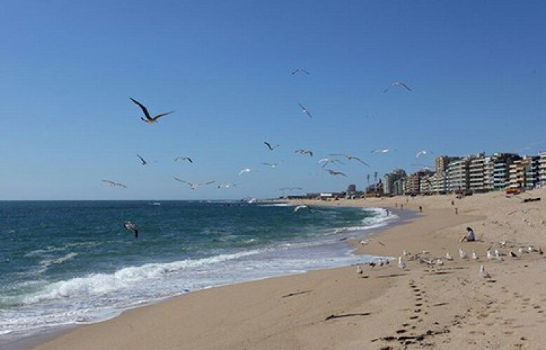 governo-pondera-instalar-semaforos-nas-praias