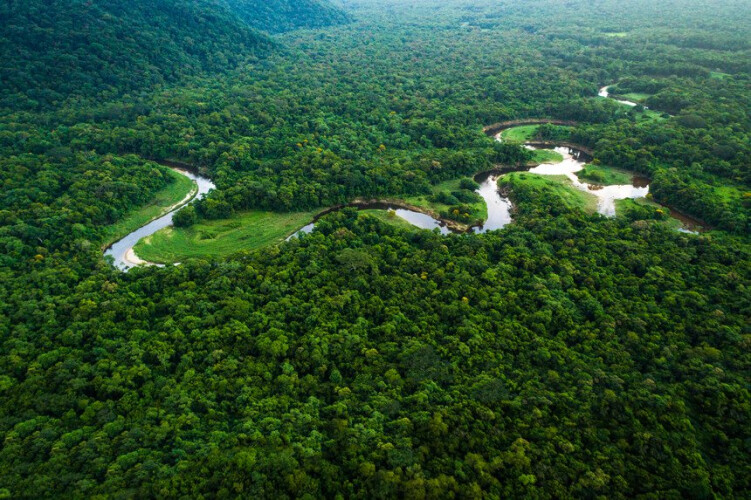 amazonia-desaparece-a-um-ritmo-de-2000-campos-de-futebol-por-dia