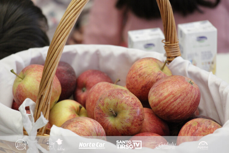 dgs-lanca-manual-para-preparar-lanches-escolares-saudaveis