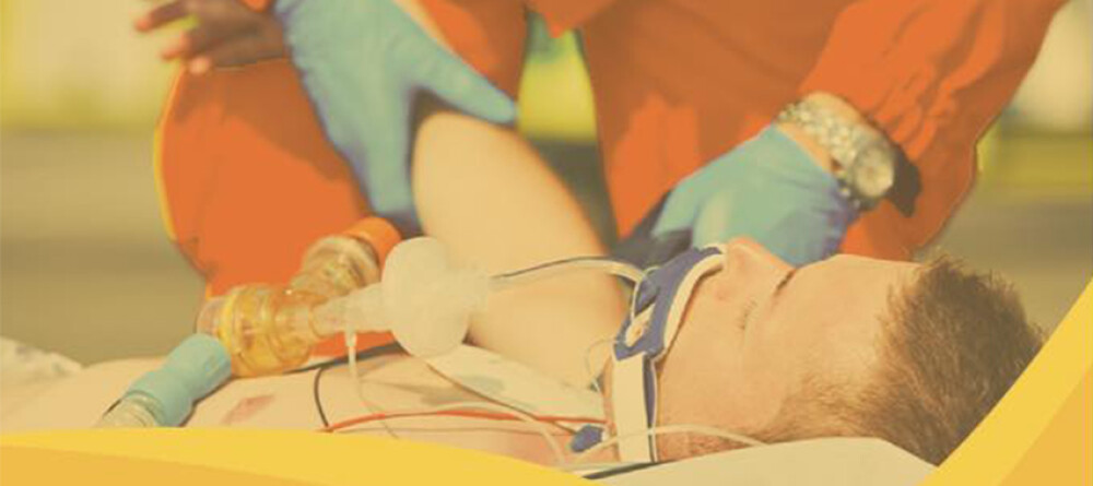 bv-tirsenses-organizam-workshop-primeiros-socorros