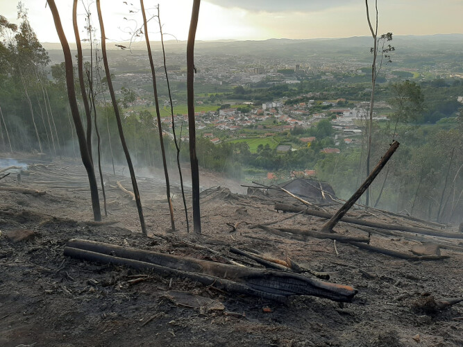 incendio-deflagra-no-monte-de-nossa-senhora-da-assuncao