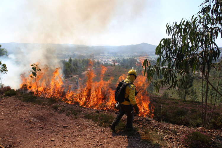 ano-com-menos-fogo-e-segundo-com-menos-area-ardida-em-dez-anos