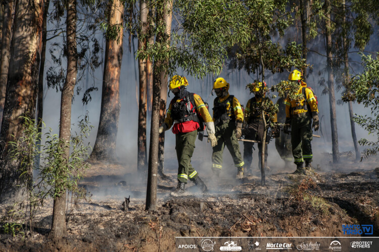 incendios-portugal-em-situacao-de-alerta-ate-domingo