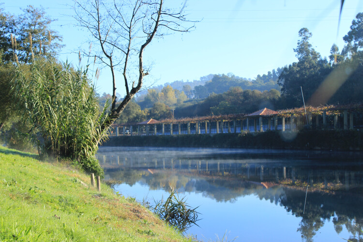 novo-ano-inicia-com-baixa-de-temperatura