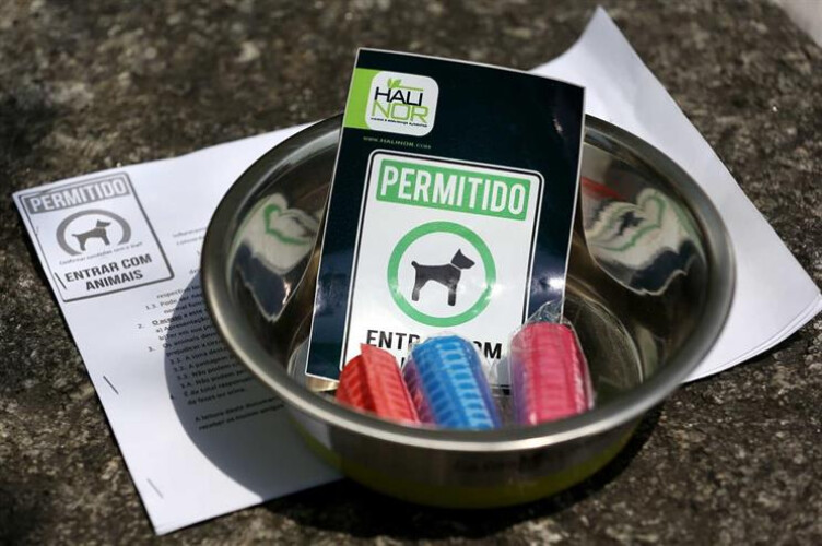 a-partir-de-hoje-os-animais-ja-podem-ir-ao-restaurante-com-os-donos