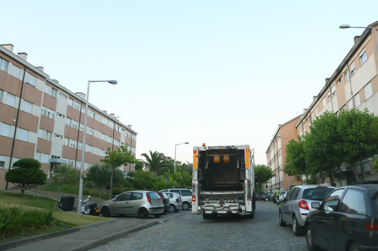 recolha-de-monstros-domesticos-esta-a-aumentar