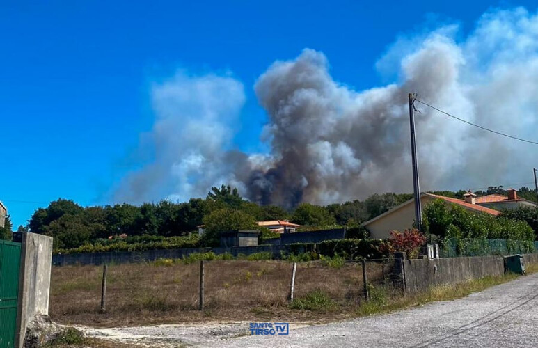 incendio-lavra-em-zona-florestal-na-freguesia-de-monte-cordova
