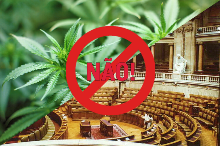 parlamento-chumba-legalizacao-da-cannabis