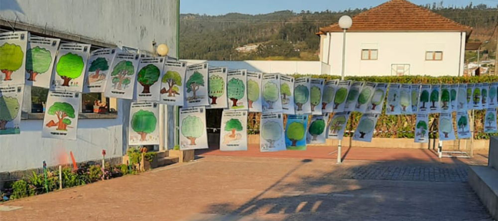 escola-basica-de-cantim-decorada-a-preceito-no-dia-mundial-da-arvore