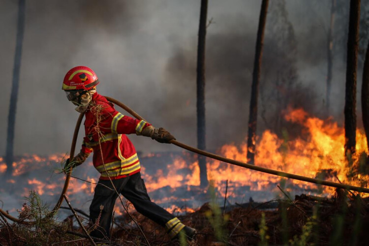 incendios-governo-aprova-500-mil-euros-para-agricultores-afetados
