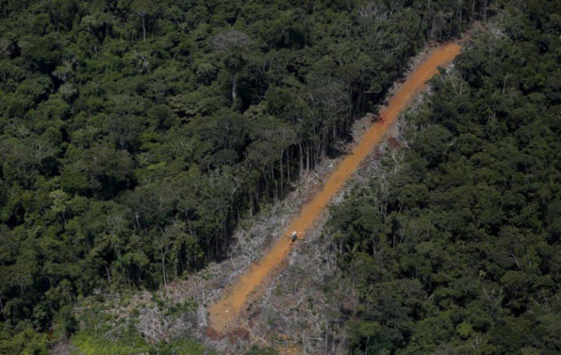 amazonia-temer-deixa-ir-as-arvores-em-troca-do-ouro