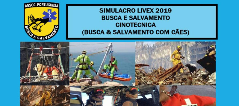 Associação Portuguesa de Busca e Salvamento organiza Simulacro LIVEX - Santo Tirso TV - Santo Tirso TV