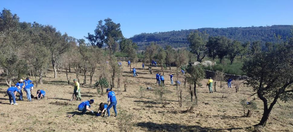 projeto-futuro-promove-floresta-nativa-em-santo-tirso