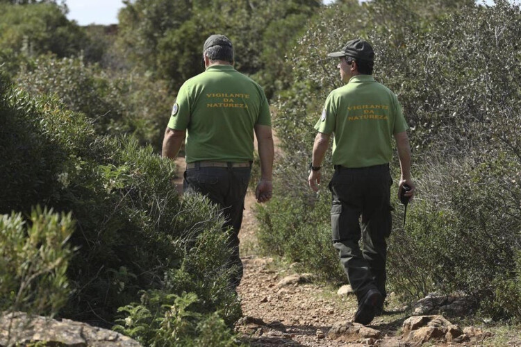 vigilantes-da-natureza-iniciam-greve-em-01-de-julho