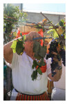 Desfolhada Tradicional_ LM-LRDL_ 2026 (25)