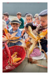 Desfolhada Tradicional_ IRSI_ 2026 (4)