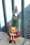 Natal_2021_IRSI_053