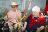 Desfolhada tradicional_ LSA_ 30