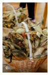 Desfolhada Tradicional_ LSA_ 2026 (1)