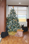 Festa_Natal_LSA_003