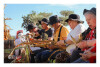 Desfolhada Tradicional_ LNSM-CD_ 2026 (22)