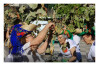 Desfolhada Tradicional_ LM-LRDL_ 2026 (29)
