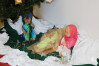 Natal_2021_CAF_049