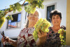 Desfolhada tradicional_ LM_LRDL_ 51